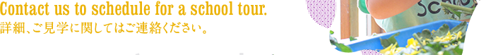 Contact us to schedule for a school tour 詳細、ご見学に関してはご連絡ください。